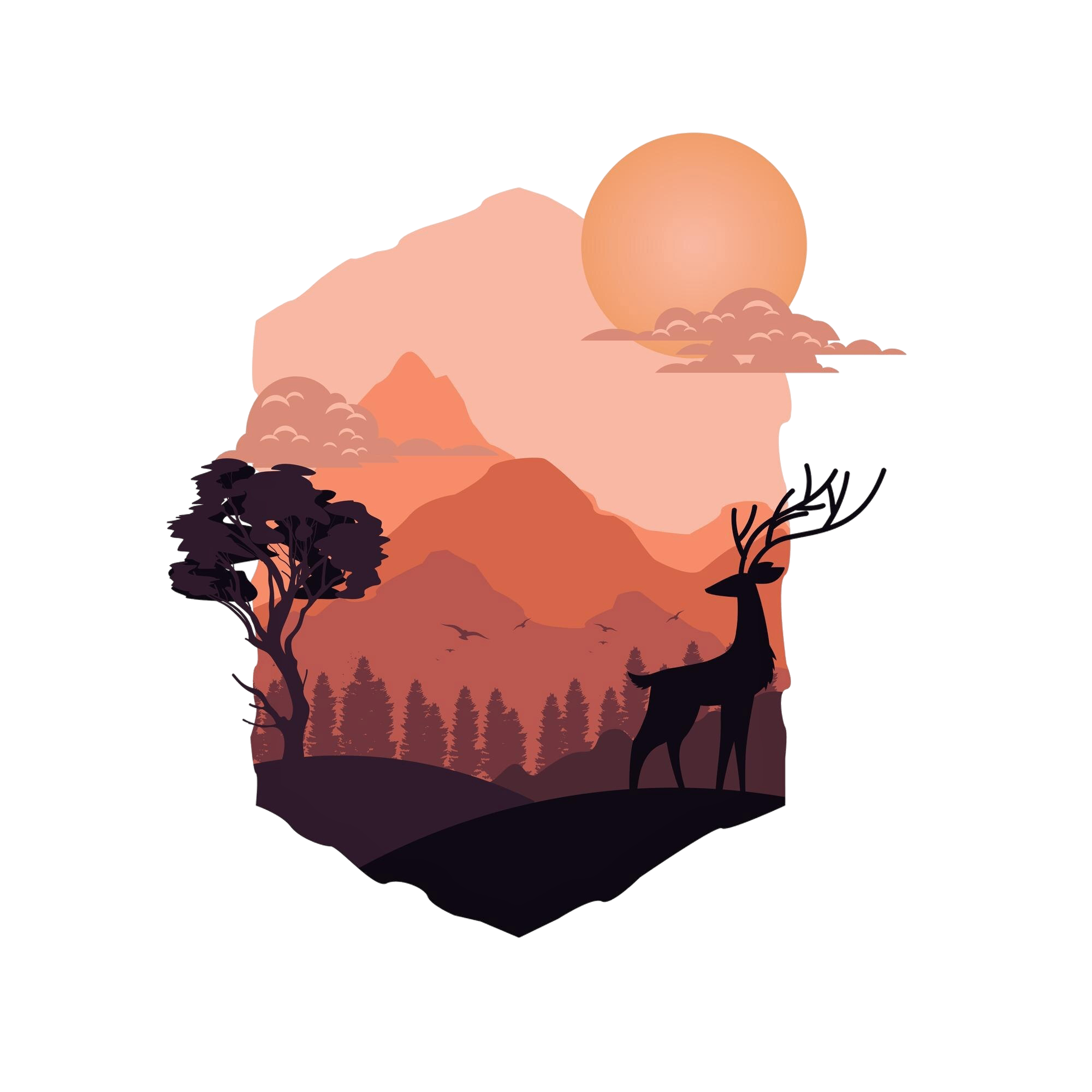 Vector Portfolio Front